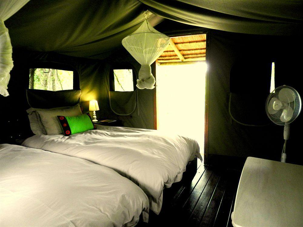 Shindzela Tented Camp محمية تيمبافاتي غيم المظهر الخارجي الصورة