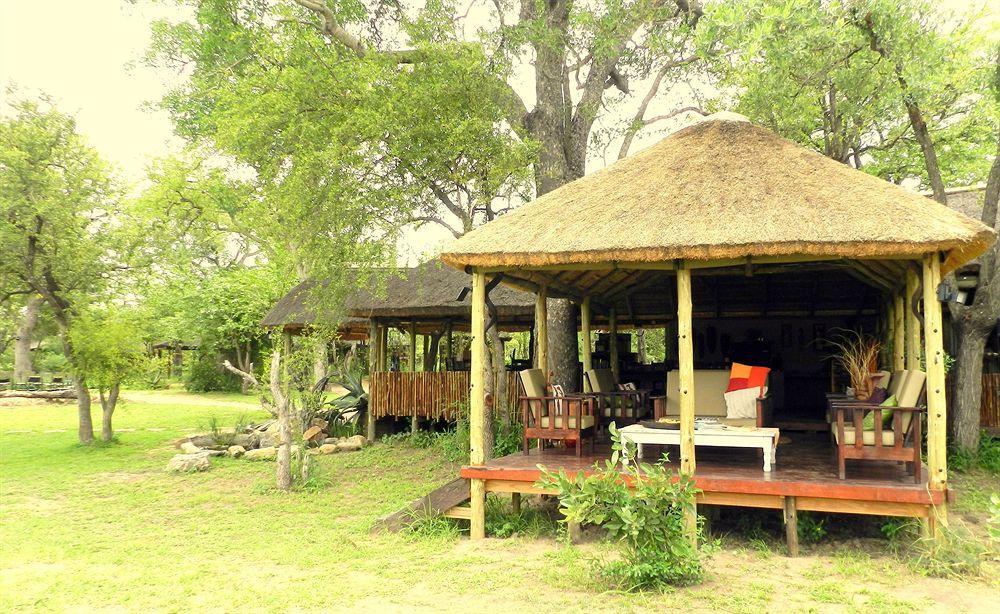 Shindzela Tented Camp محمية تيمبافاتي غيم المظهر الخارجي الصورة