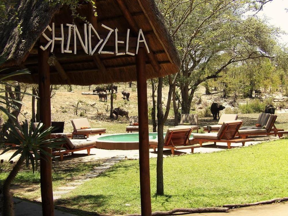 Shindzela Tented Camp محمية تيمبافاتي غيم المظهر الخارجي الصورة