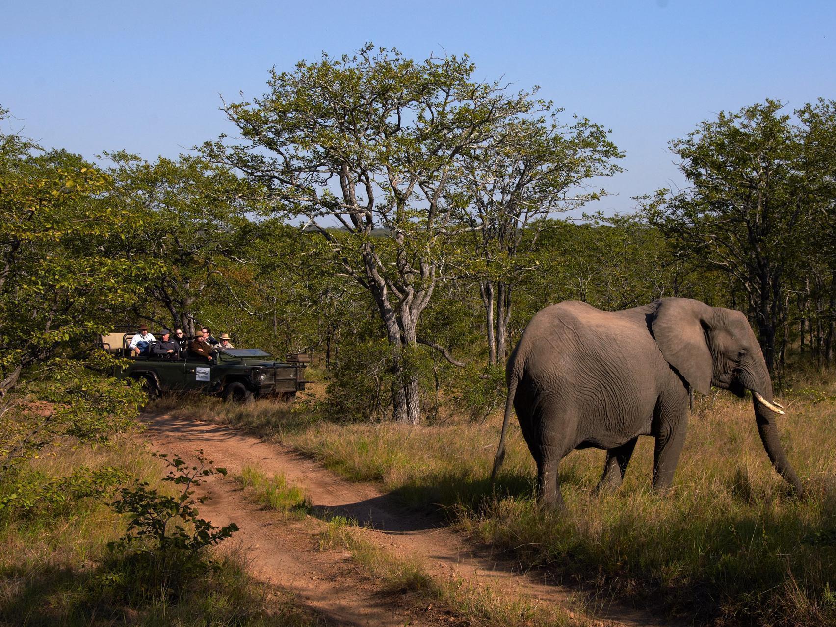 Shindzela Tented Camp محمية تيمبافاتي غيم المظهر الخارجي الصورة