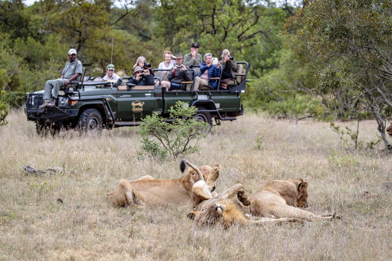 Shindzela Tented Camp محمية تيمبافاتي غيم المظهر الخارجي الصورة