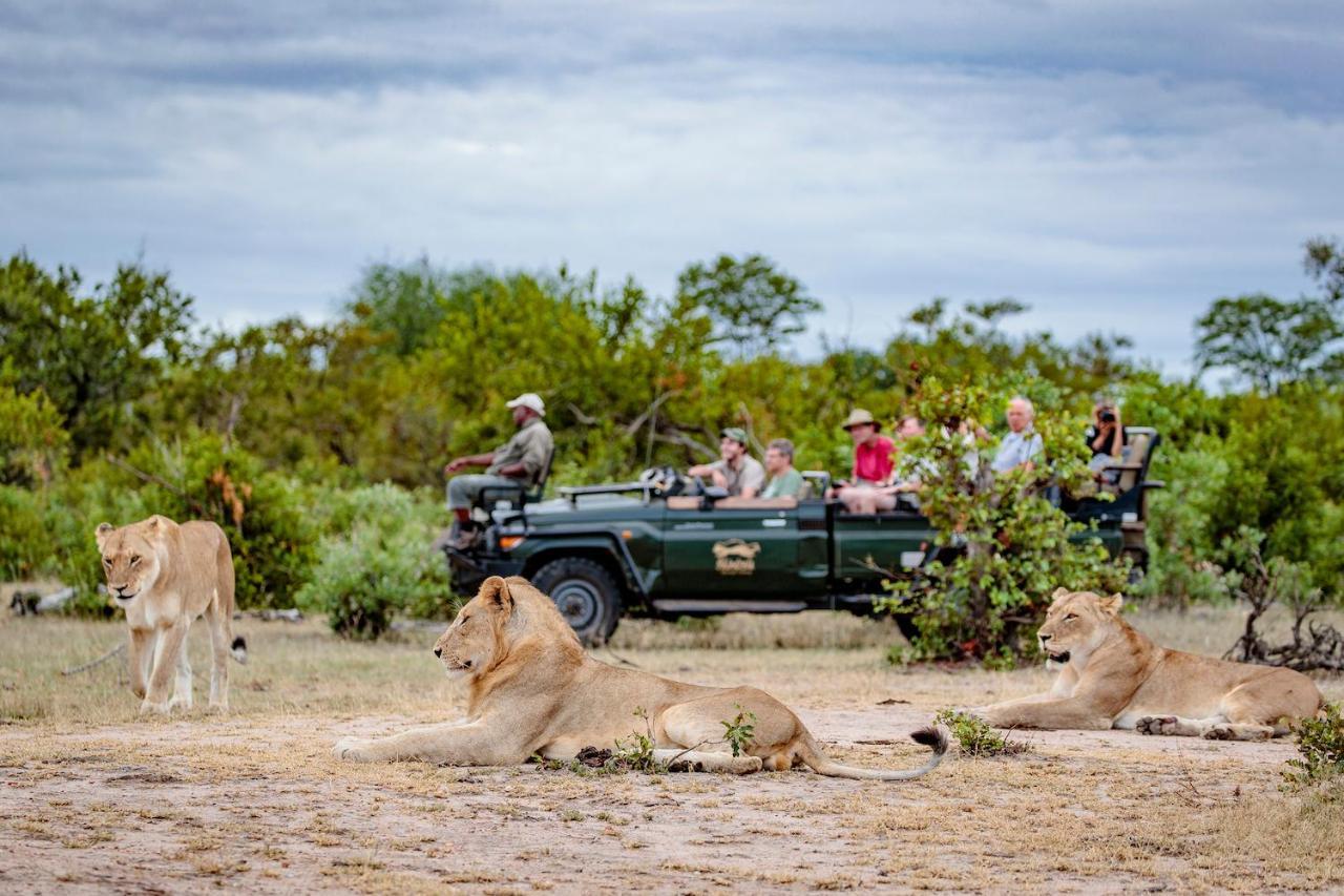 Shindzela Tented Camp محمية تيمبافاتي غيم المظهر الخارجي الصورة