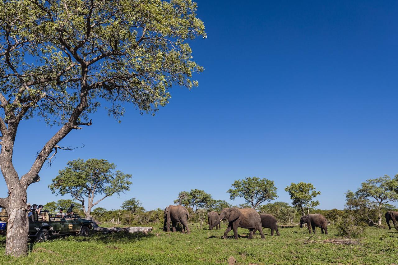 Shindzela Tented Camp محمية تيمبافاتي غيم المظهر الخارجي الصورة