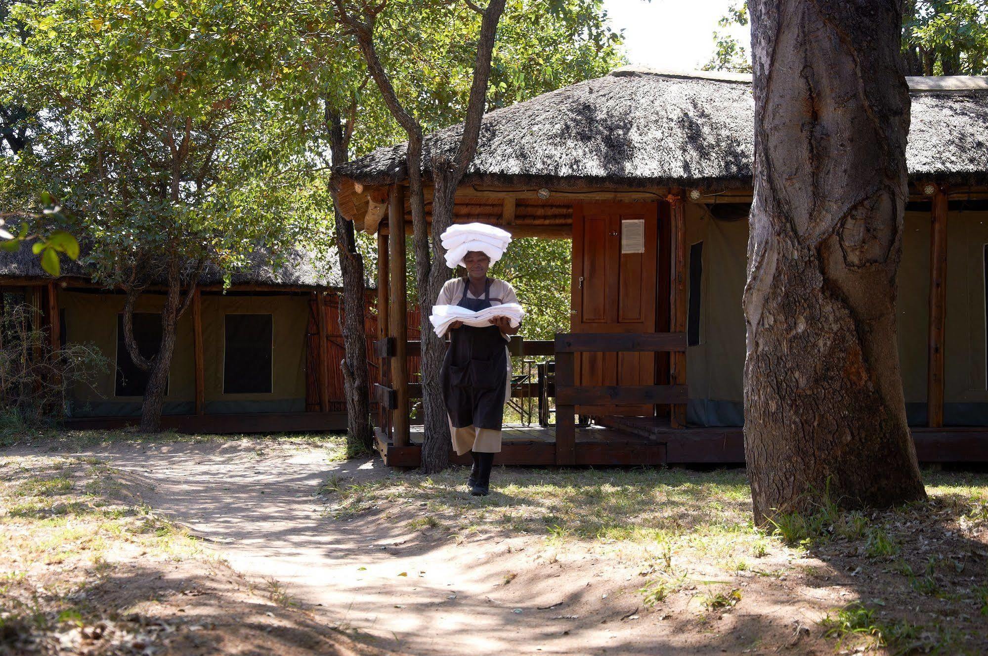 Shindzela Tented Camp محمية تيمبافاتي غيم المظهر الخارجي الصورة