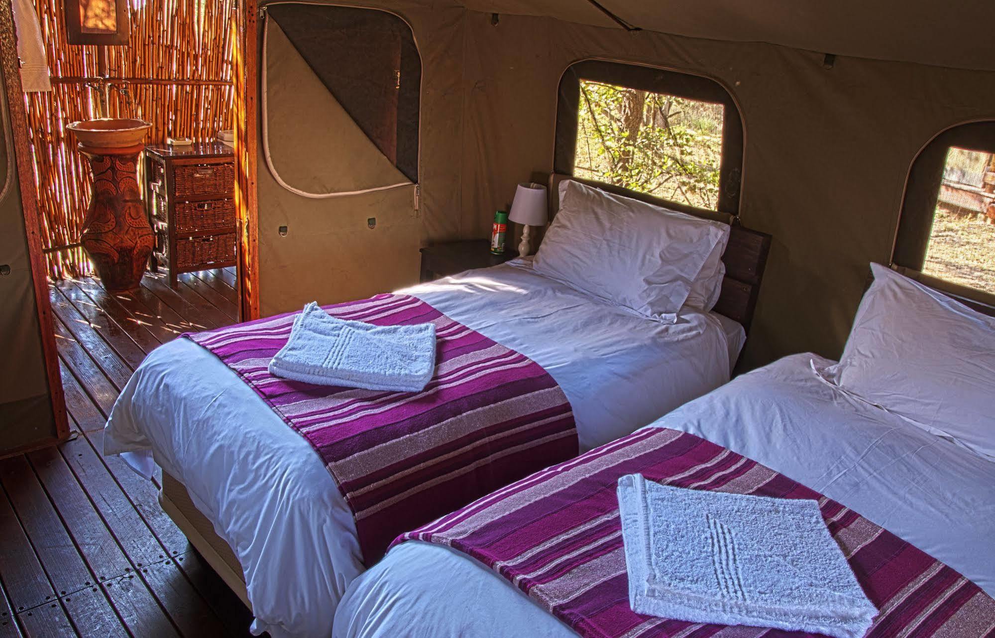 Shindzela Tented Camp محمية تيمبافاتي غيم المظهر الخارجي الصورة