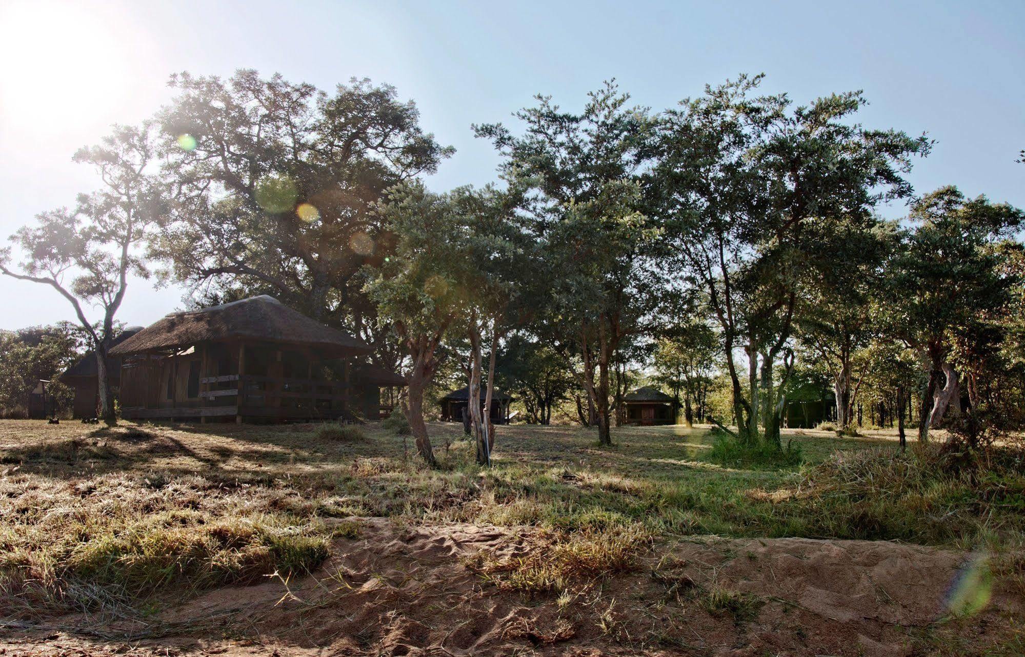 Shindzela Tented Camp محمية تيمبافاتي غيم المظهر الخارجي الصورة