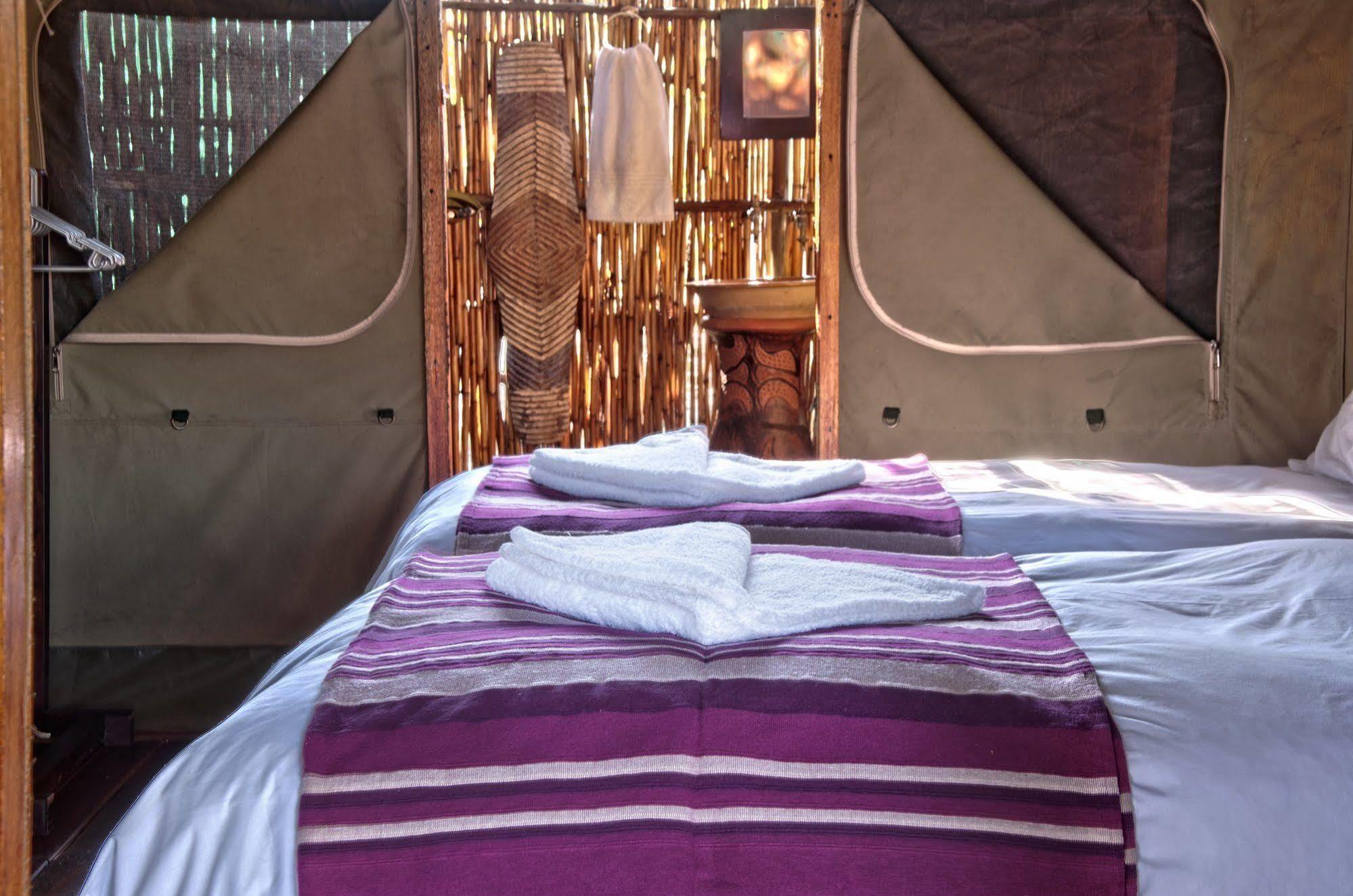 Shindzela Tented Camp محمية تيمبافاتي غيم المظهر الخارجي الصورة