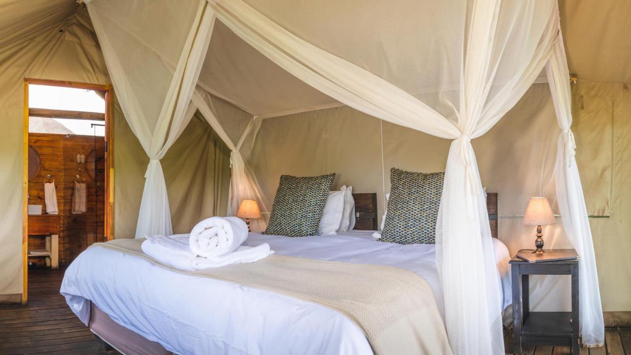 Shindzela Tented Camp محمية تيمبافاتي غيم المظهر الخارجي الصورة