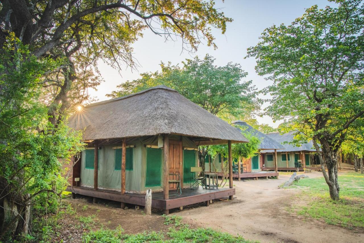Shindzela Tented Camp محمية تيمبافاتي غيم المظهر الخارجي الصورة
