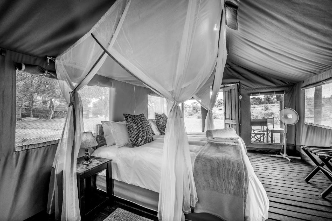 Shindzela Tented Camp محمية تيمبافاتي غيم المظهر الخارجي الصورة
