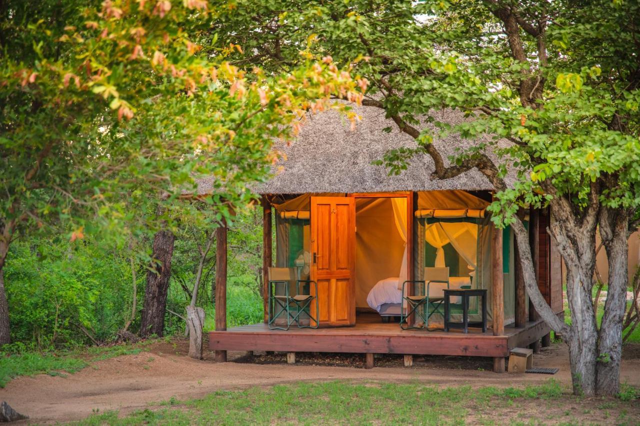 Shindzela Tented Camp محمية تيمبافاتي غيم المظهر الخارجي الصورة