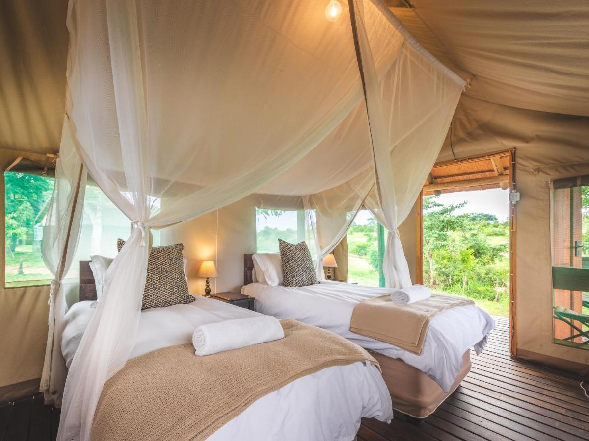 Shindzela Tented Camp محمية تيمبافاتي غيم المظهر الخارجي الصورة