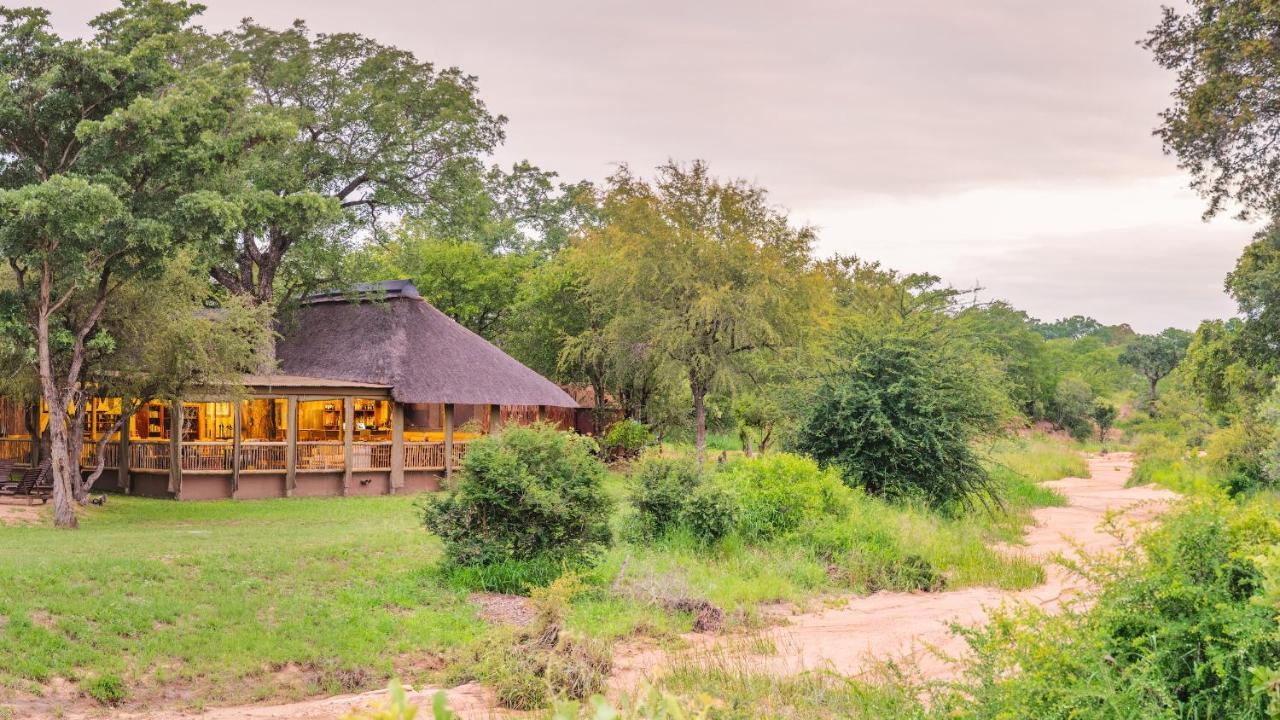 Shindzela Tented Camp محمية تيمبافاتي غيم المظهر الخارجي الصورة