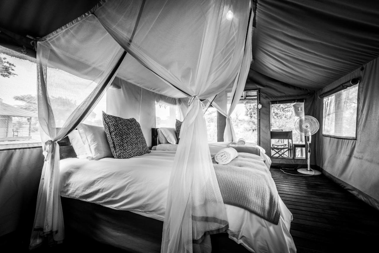 Shindzela Tented Camp محمية تيمبافاتي غيم المظهر الخارجي الصورة