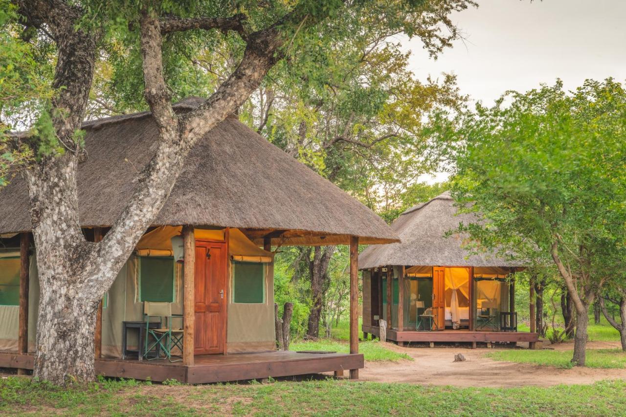 Shindzela Tented Camp محمية تيمبافاتي غيم المظهر الخارجي الصورة