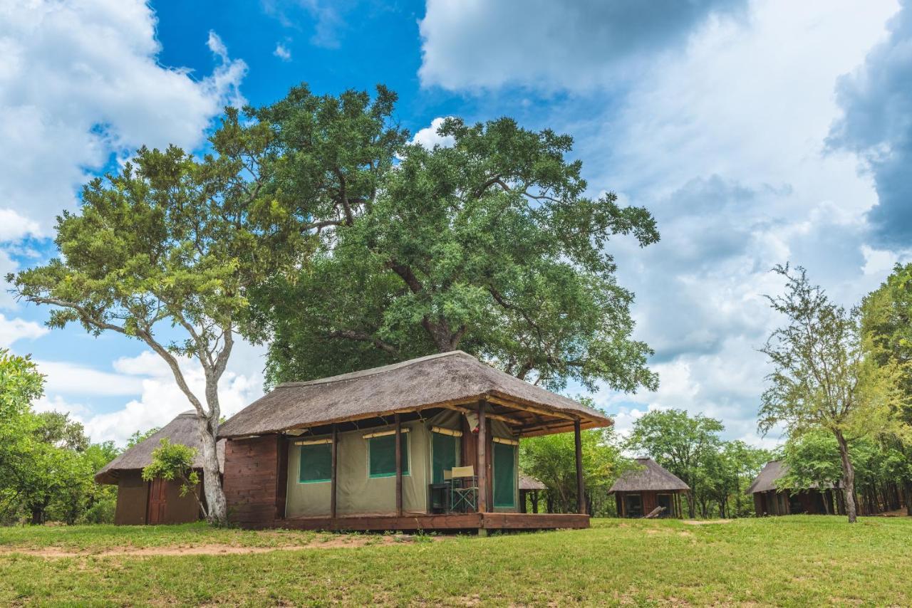 Shindzela Tented Camp محمية تيمبافاتي غيم المظهر الخارجي الصورة