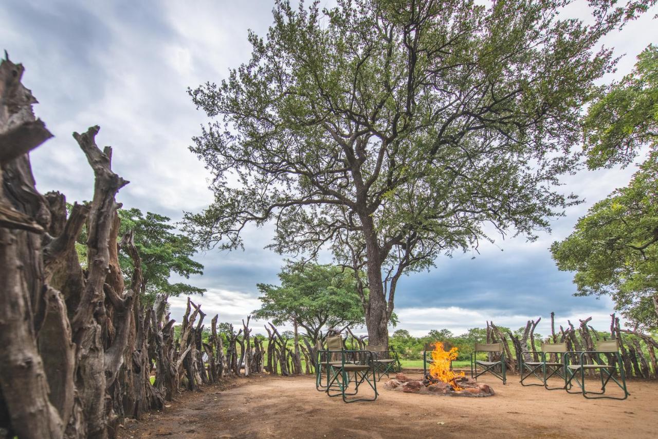 Shindzela Tented Camp محمية تيمبافاتي غيم المظهر الخارجي الصورة